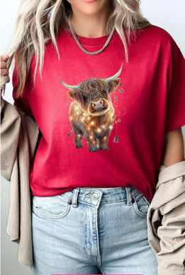 Caught In The Lights Highland Cow SS T-shirt