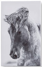 Load image into Gallery viewer, Maison Horse Wall Prints 095278