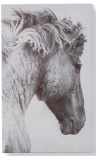 Load image into Gallery viewer, Maison Horse Wall Prints 095278