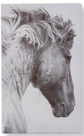 Maison Horse Wall Prints 095278
