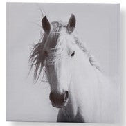 Maison Horse Wall Prints 095278
