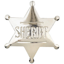 Load image into Gallery viewer, Sheriff Badge Pin P-572