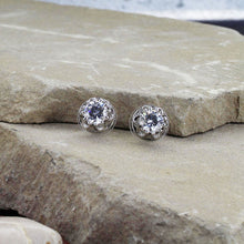 Load image into Gallery viewer, Montana Silversmith Lucky Water Horseshoe Post Earrings ER3561