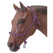 Load image into Gallery viewer, Tough1 Knotted Rope Training Halter with Twisted Crown  50-1090