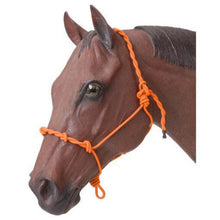 Load image into Gallery viewer, Tough1 Knotted Rope Training Halter with Twisted Crown  50-1090