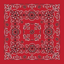 Load image into Gallery viewer, Austin Accent 21" Bandanas 12-1302-16