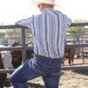 Load image into Gallery viewer, Cinch Mens L/S Stripe Modern MTW1303112 MUL