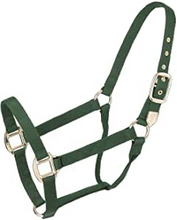 Load image into Gallery viewer, Tough 1 Nylon Horse Halter 50-905H