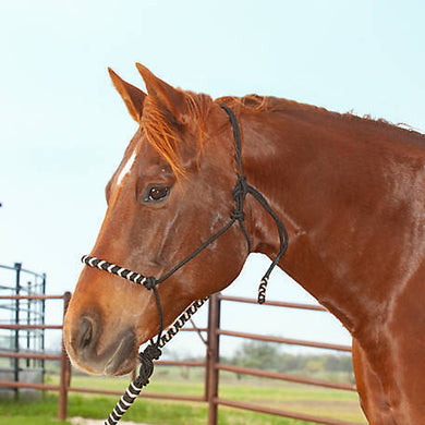Classic Equine Rope Halter W\8' Foot Lead