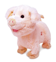 Load image into Gallery viewer, Cuddle Barn Plush Toys