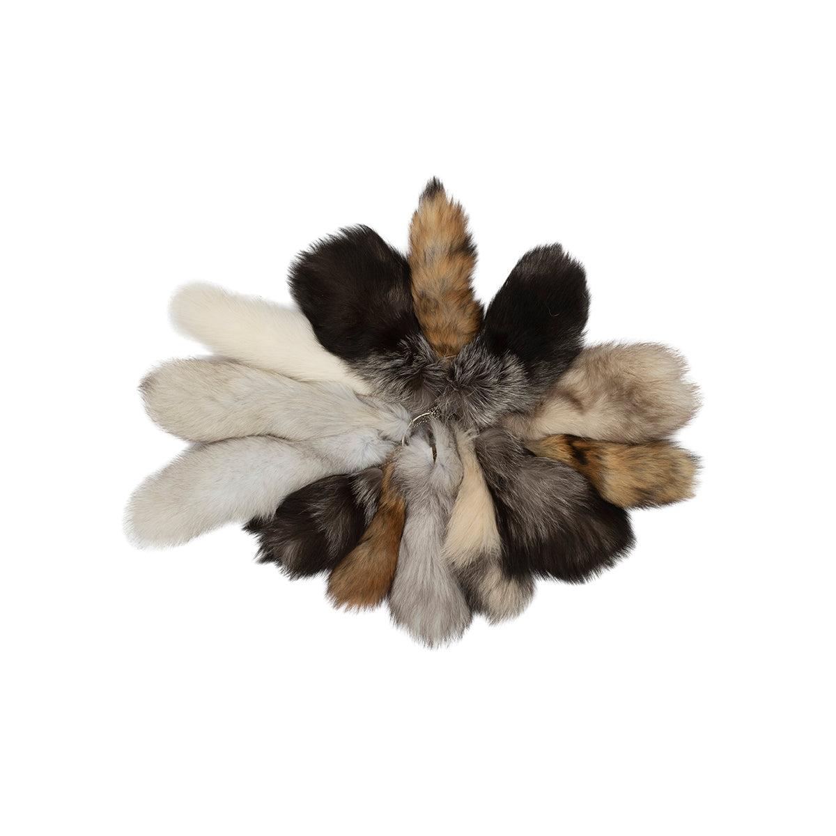 Fox Tail Small