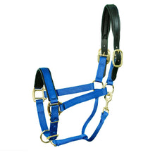 Load image into Gallery viewer, Horse Padded Breakaway Halter 70358