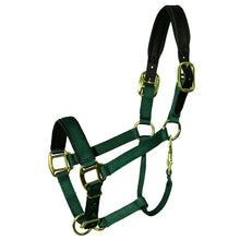 Load image into Gallery viewer, Horse Padded Breakaway Halter 70358