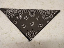 Load image into Gallery viewer, Austin Accent 22&quot; Bandanas 1302