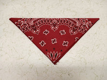 Load image into Gallery viewer, Austin Accent 22&quot; Bandanas 1302